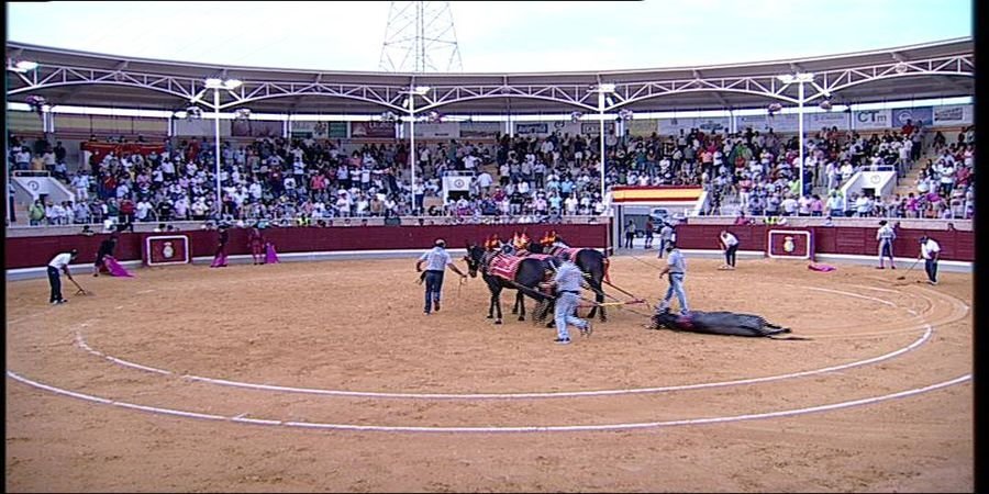 TCLM04_E291_VIA1_3300 12577_H_6749_20210912_200726.jpg