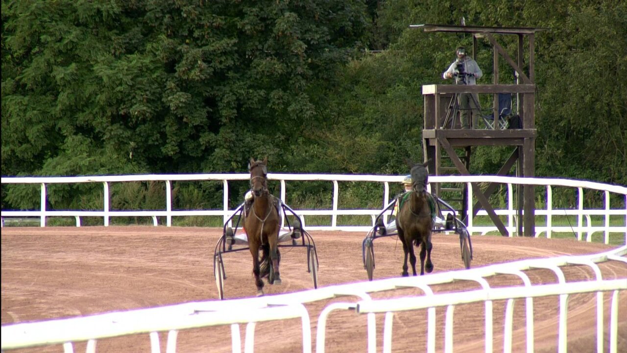 SES BEL095 Main MONS_0235 11528_V_7200_20210911_184038.jpg