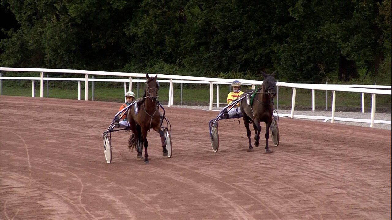 SES BEL095 Main MONS_0235 11528_V_7200_20210911_184019.jpg