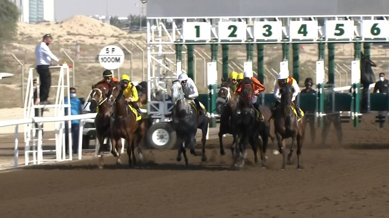 DMI_0070 11162_V_7200_20211112_121512.jpg