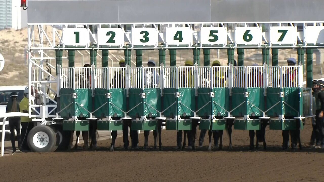 DMI_0070 11162_V_7200_20211112_121507.jpg