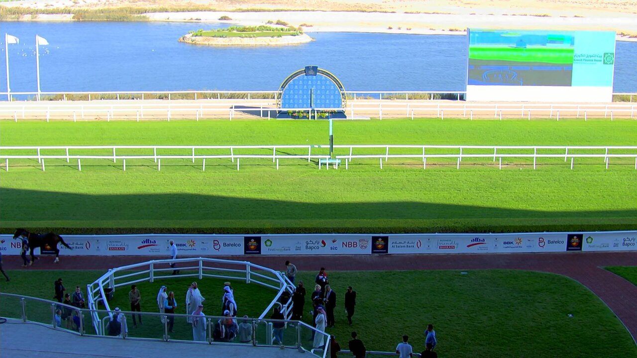 Nameless 11520_1_0215 11520_V_4830_20211204_123627.jpg