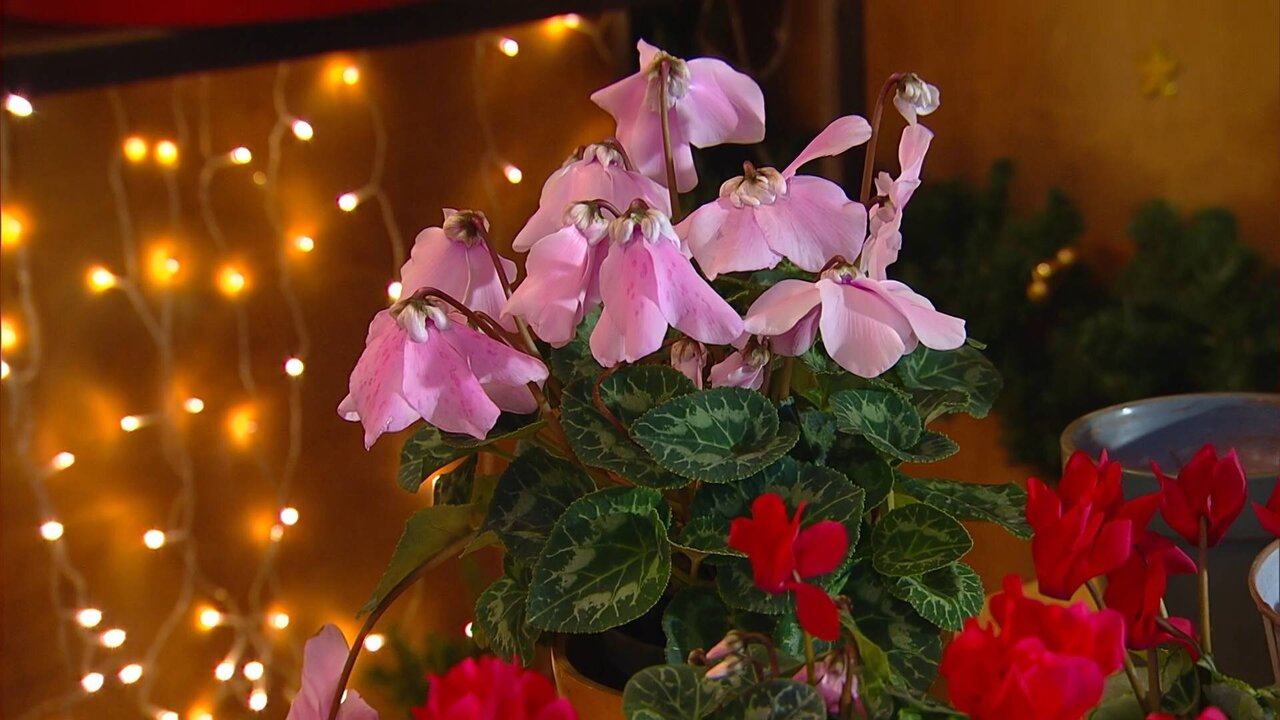 Service-1_0235 12692_V_4800_20211206_163516.jpg