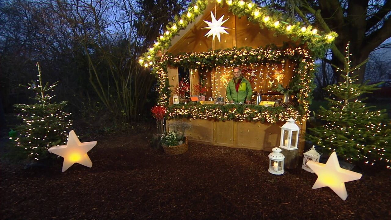 Service-1_0235 12692_V_4800_20211213_162632.jpg