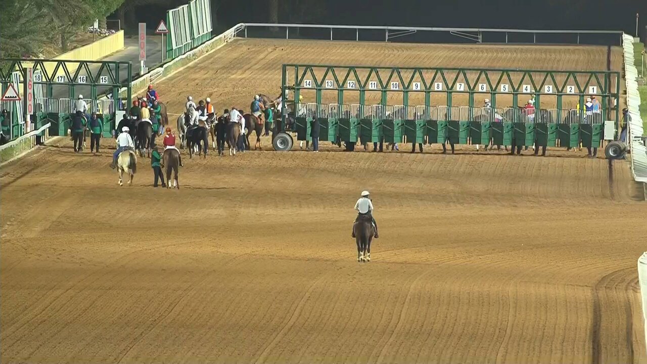 BEGQ A_0260 12560_H_2220_20211225_172550.jpg