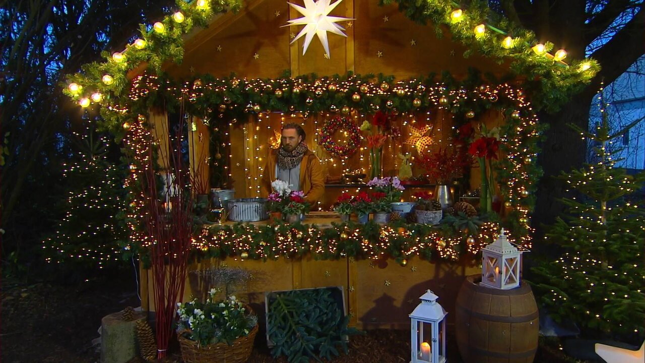 Service-1_0235 12692_V_4800_20211206_162646.jpg