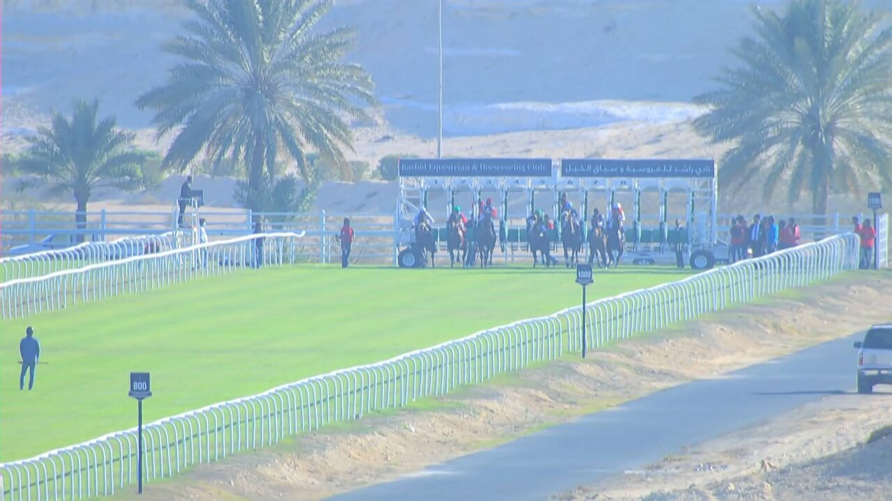 Nameless 11520_1_0215 11520_V_4830_20211204_123646.jpg