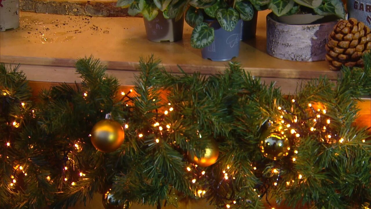 Service-1_0235 12692_V_4800_20211206_163432.jpg