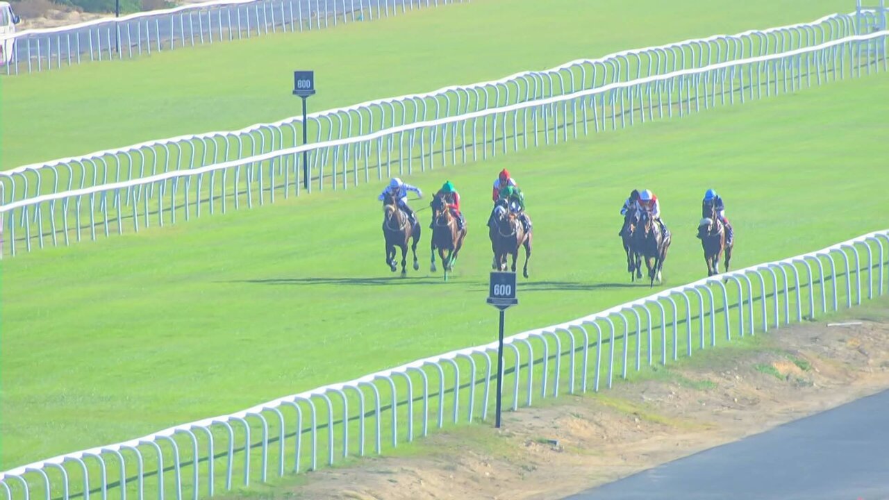 Nameless 11520_1_0215 11520_V_4830_20211204_123718.jpg