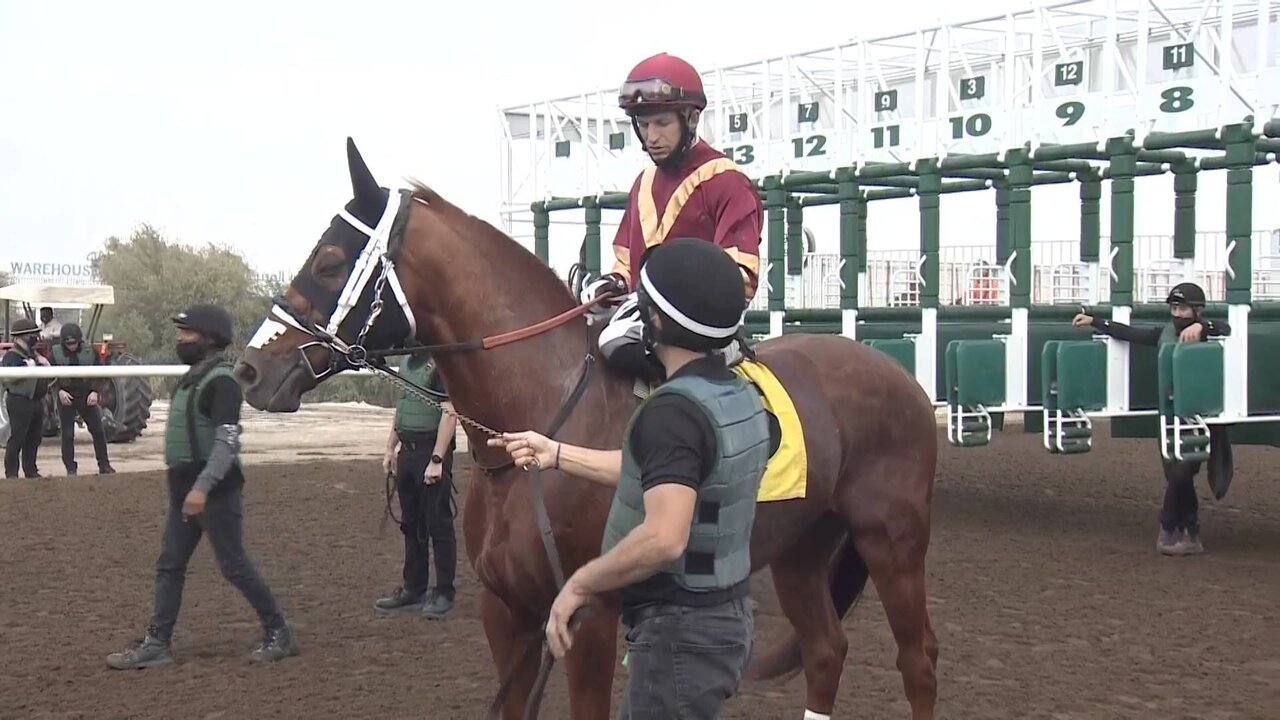 Clean feed_0070 11180_V_7200_20220115_131106.jpg