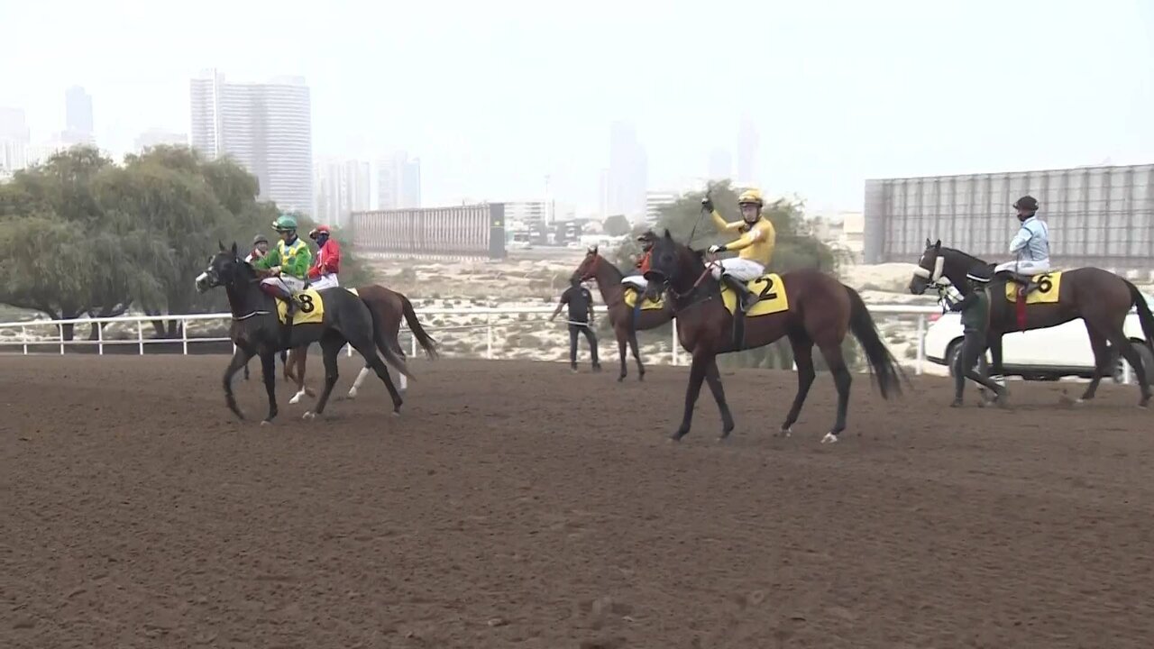 Clean feed_0070 11180_V_7200_20220115_131117.jpg