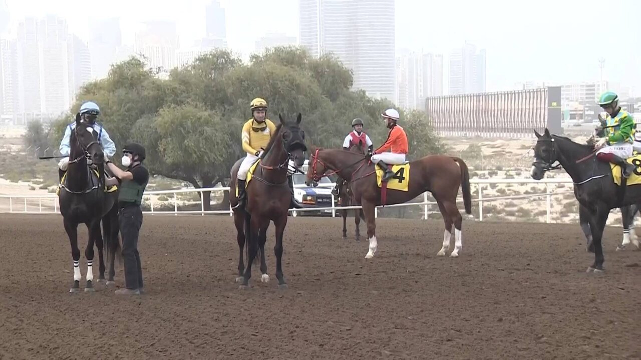 Clean feed_0070 11180_V_7200_20220115_131157.jpg