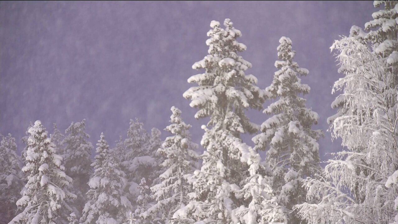 NOR-036 Worldfeed_3592 11519_V_9875_20220225_165613.jpg