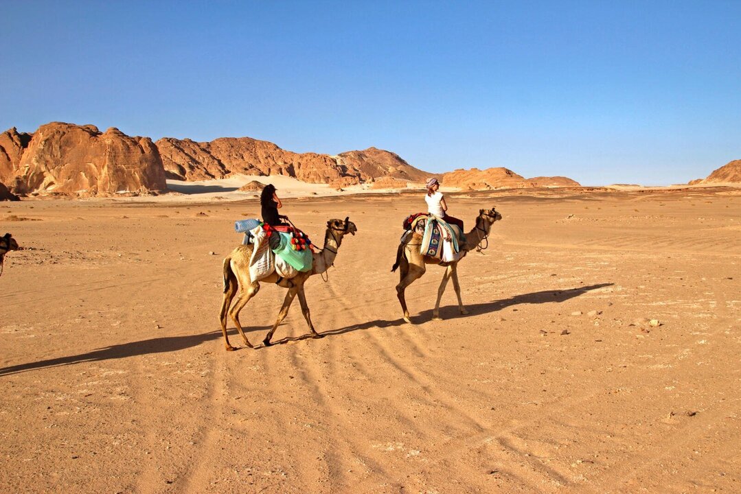 reizen per kameel.jpg