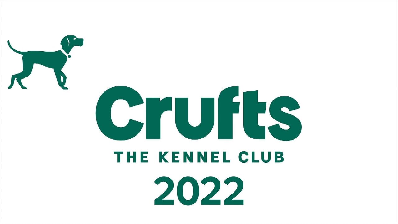 Ch4 Crufts Back up_0282 12637_V_15000_20220312_165054.jpg