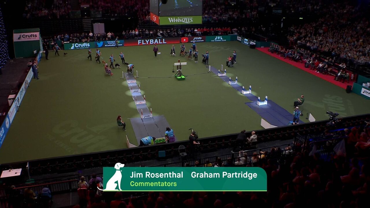 Ch4 Crufts Back up_0282 12637_V_15000_20220312_165525.jpg