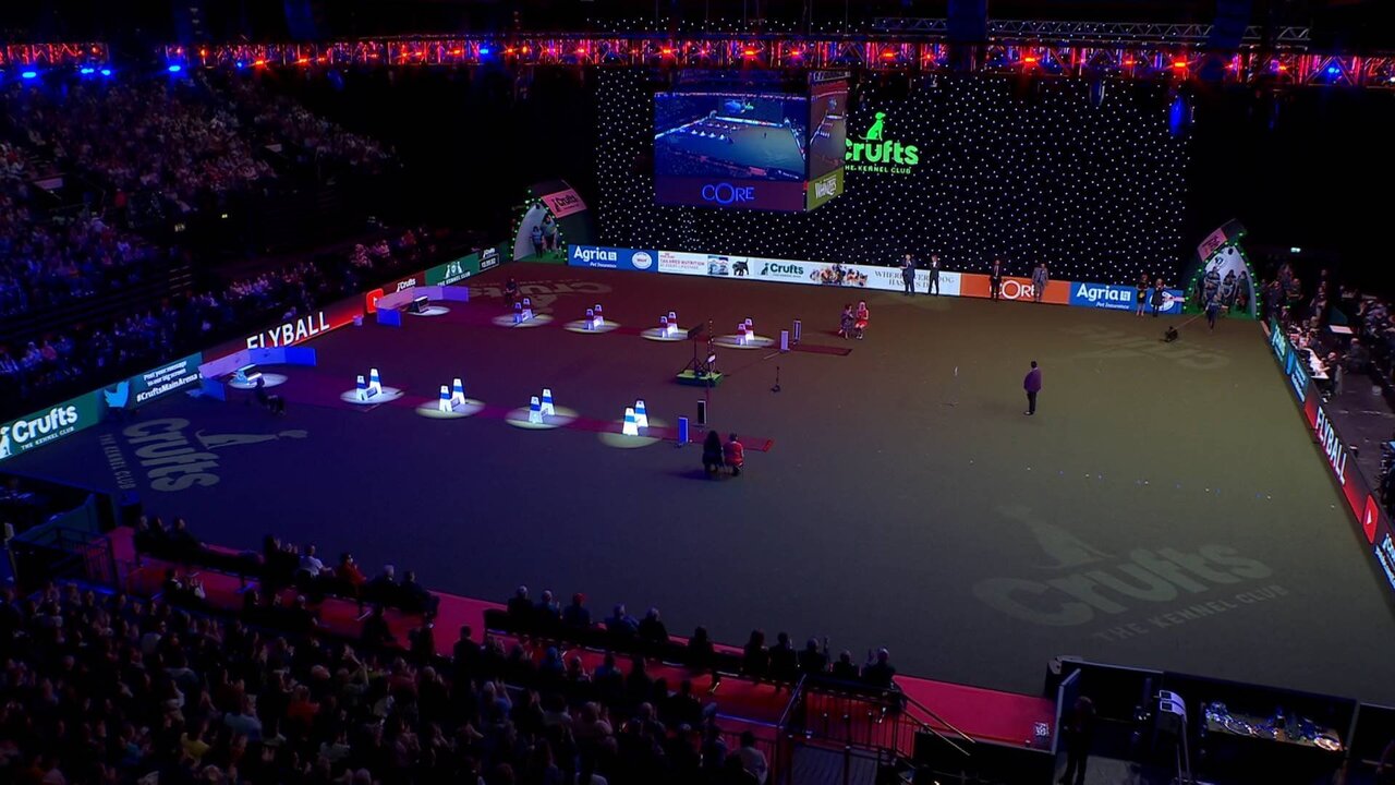 Ch4 Crufts Back up_0282 12637_V_15000_20220312_165509.jpg