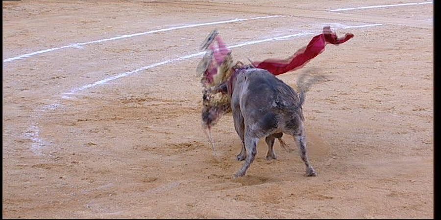 TCLM04_E291_VIA1_3300 12731_H_6750_20220409_200651.jpg