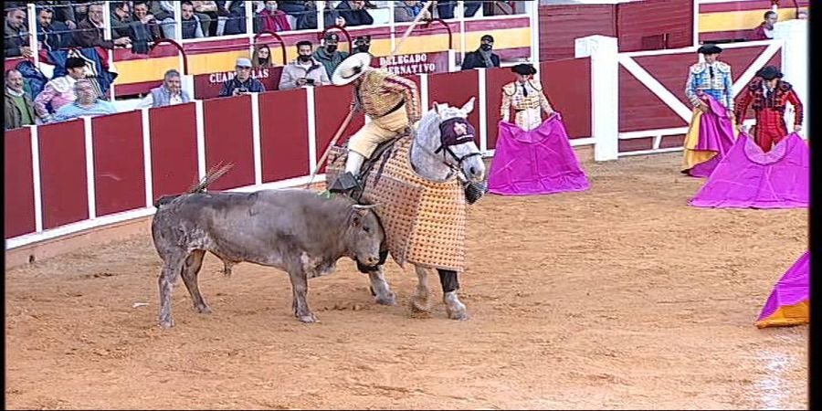 TCLM04_E291_VIA1_3300 12731_H_6750_20220409_200009.jpg