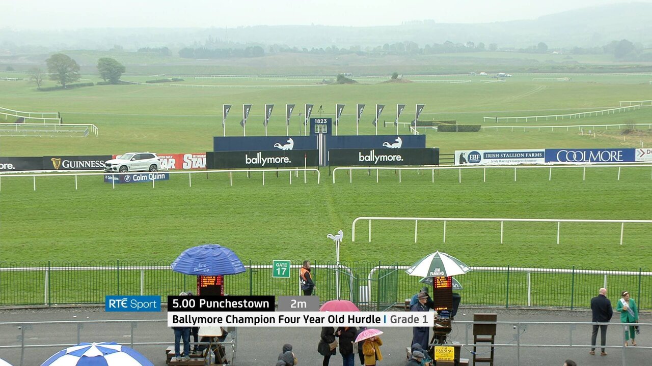 Vitel-NTT1_3592 11477_V_9875_20220430_173913.jpg