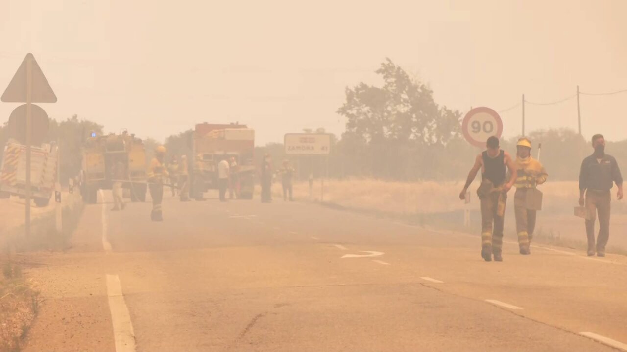 Reuters TV News_3380 11126_H_17250_20220718_162204.jpg