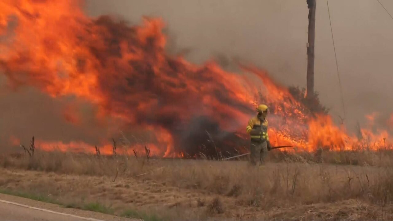 Reuters TV News_3380 11126_H_17250_20220718_162450.jpg