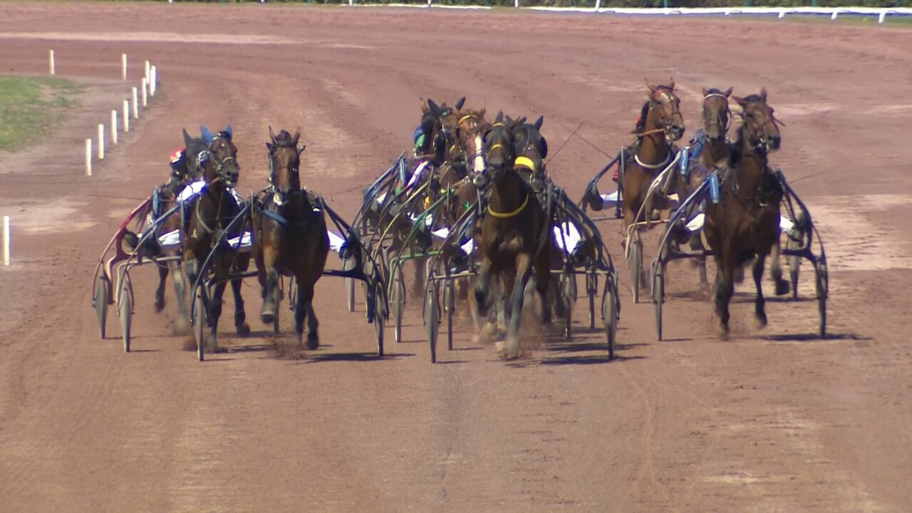 Feed_MAIN_0070 11152_V_9600_20220713_123840.jpg