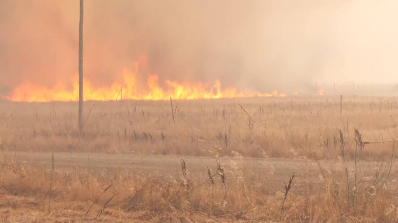 Reuters TV News_3380 11126_H_17250_20220718_162253.jpg