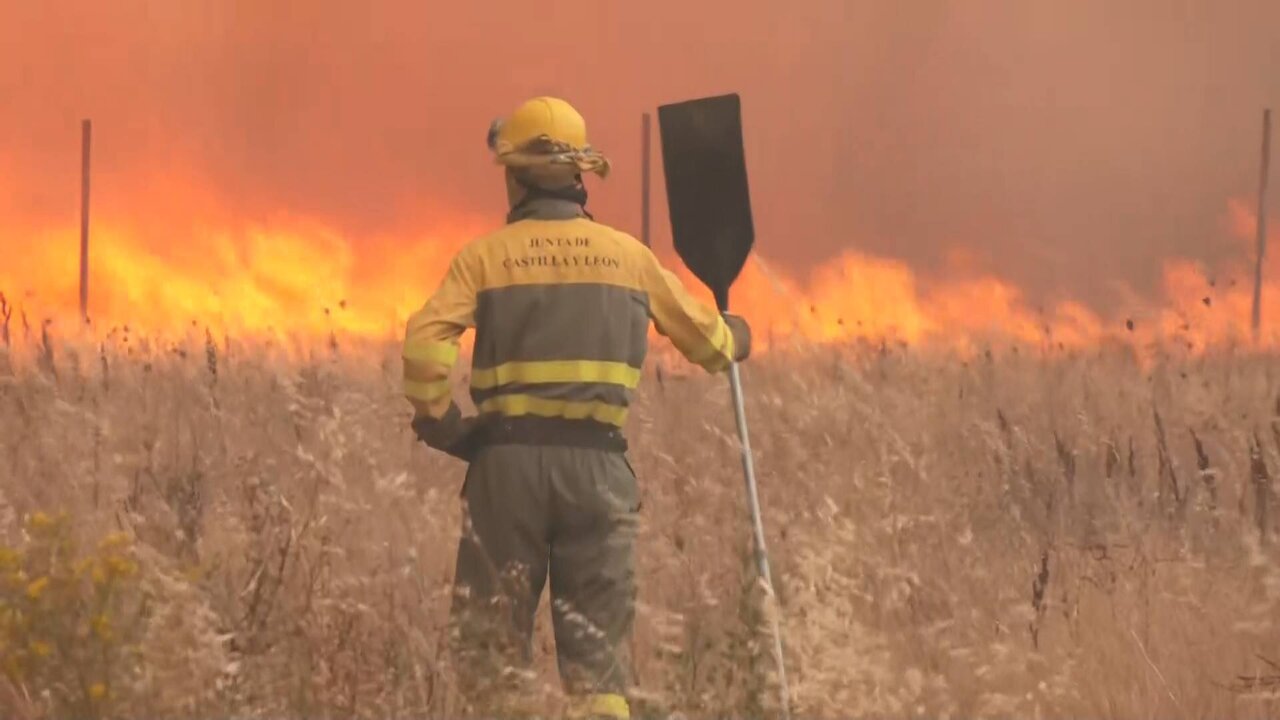 Reuters TV News_3380 11126_H_17250_20220718_162330.jpg