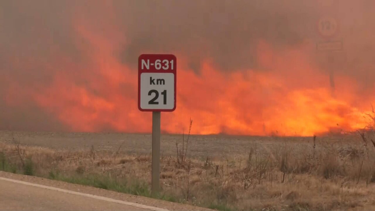 Reuters TV News_3380 11126_H_17250_20220718_162429.jpg