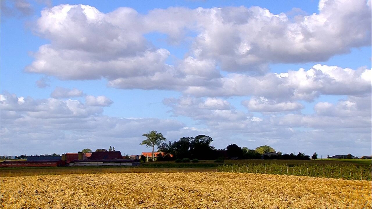 HOL318 WRC SS10 CAMS_0160 11127_H_7200_20220820_110045.jpg