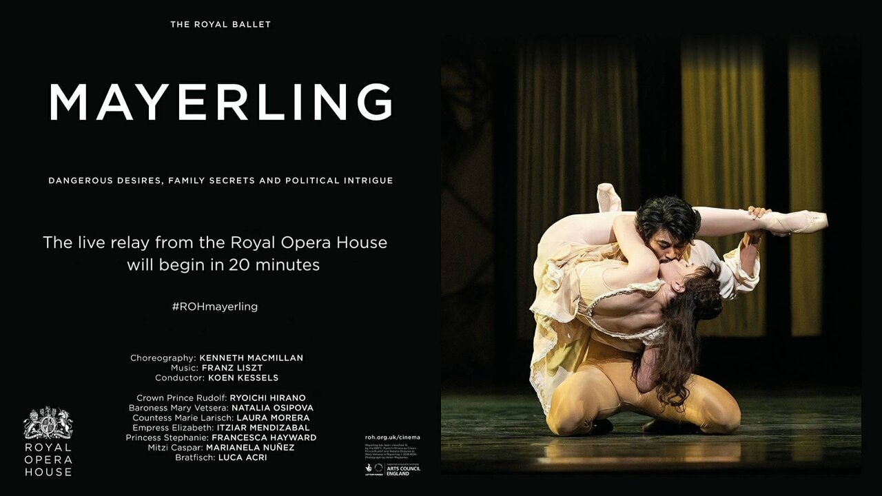 ROH-Live_3592 11500_V_14500_20221011_114358.jpg