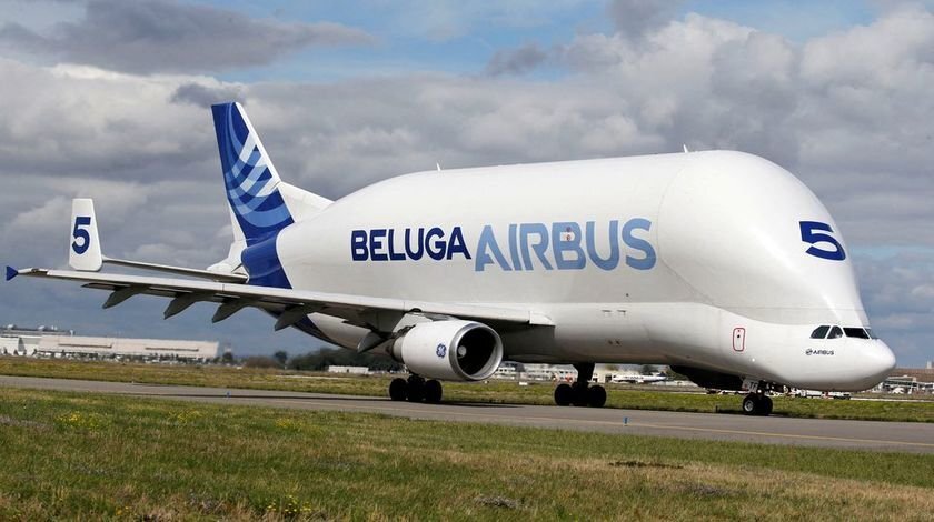 Beluga_840x470.jpg.eac0cbbc1de8de4b01878b744ee2740f.jpg