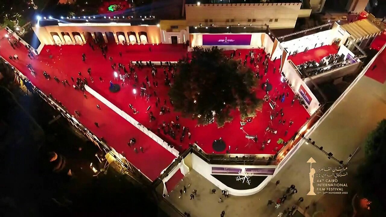 ANA_0070 11097_V_7200_20221122_174912.jpg