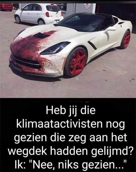 klimaatactivisten.jpg.ac19d6b95991101877abb32b3866fac0.jpg