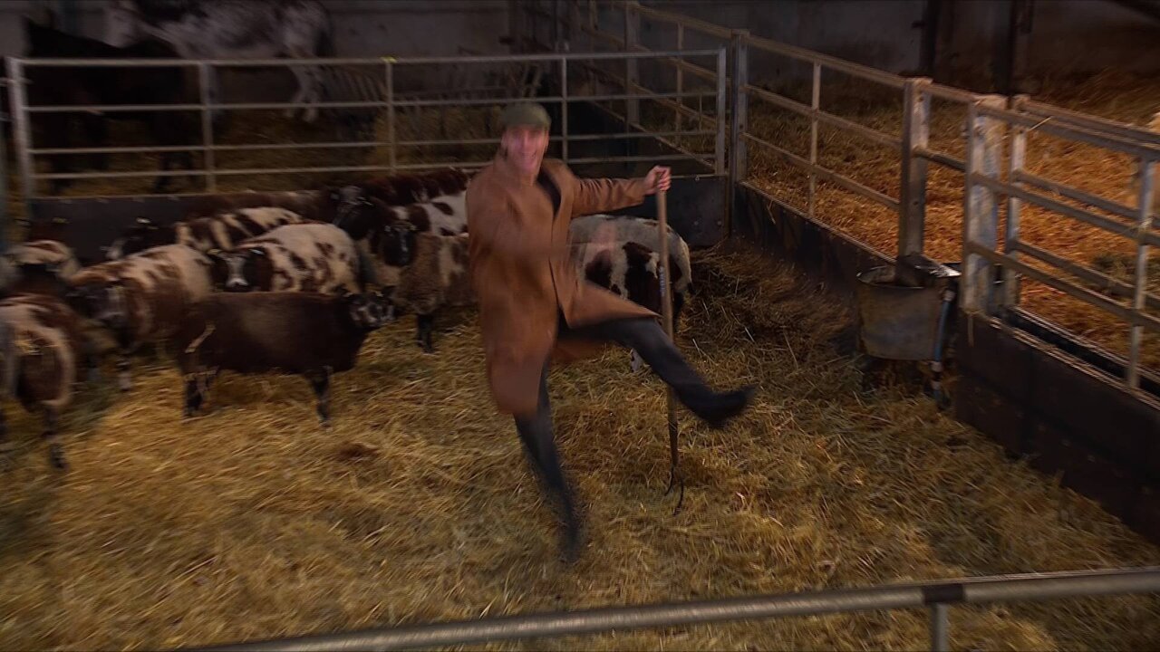 UKI 1489 Winter on the farm Main_0235 12614_V_15000_20221206_210133.jpg