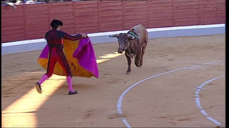 TCLM04_E291_VIA1_0282 12641_V_5632_20230325_170901.jpg