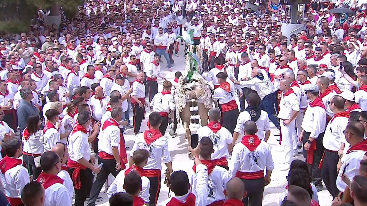 Service-1_0070 11552_V_7200_20230502_160228.jpg