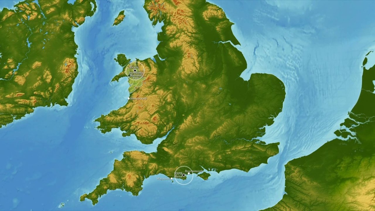 UKI-1445 P-1_0160 12692_V_12000_20230529_205830.jpg