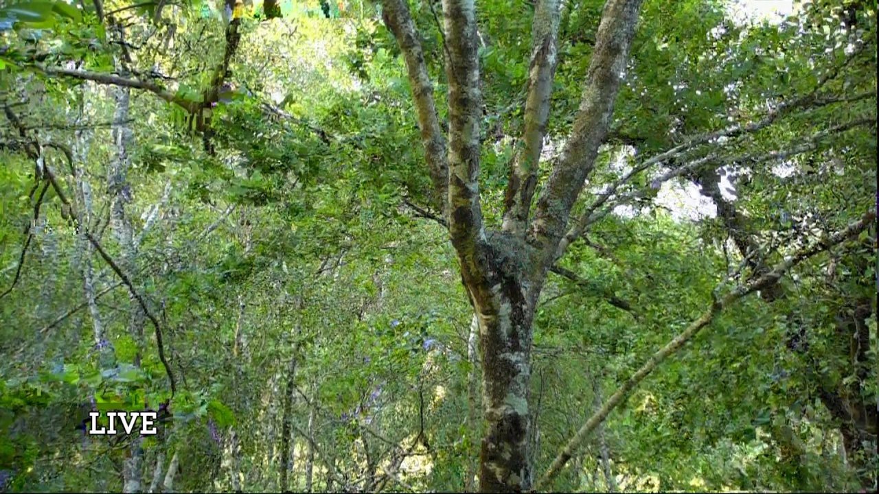 UKI-1445 P-1_0160 12692_V_12000_20230529_210155.jpg