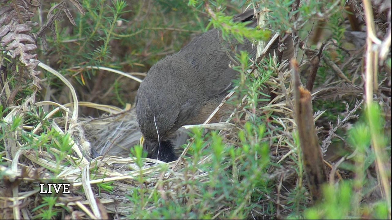 UKI-1445 P-1_0160 12692_V_12000_20230529_210507.jpg