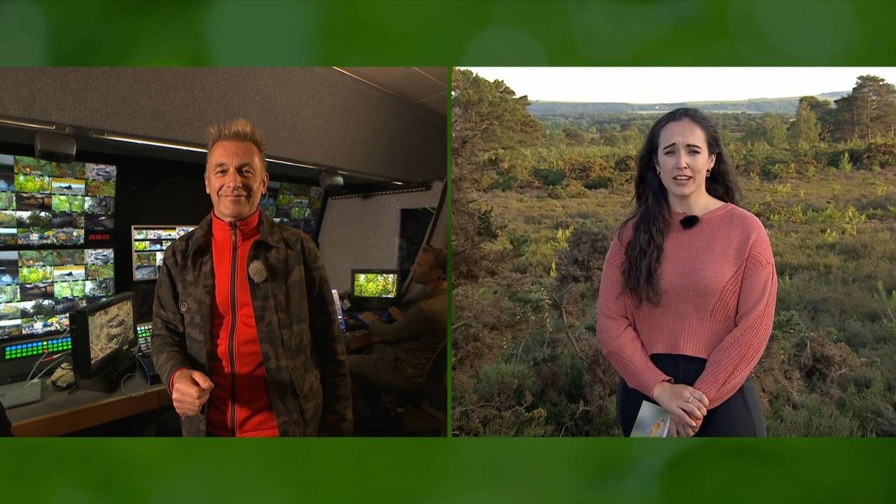 UKI-1445 P-1_0160 12692_V_12000_20230529_210605.jpg