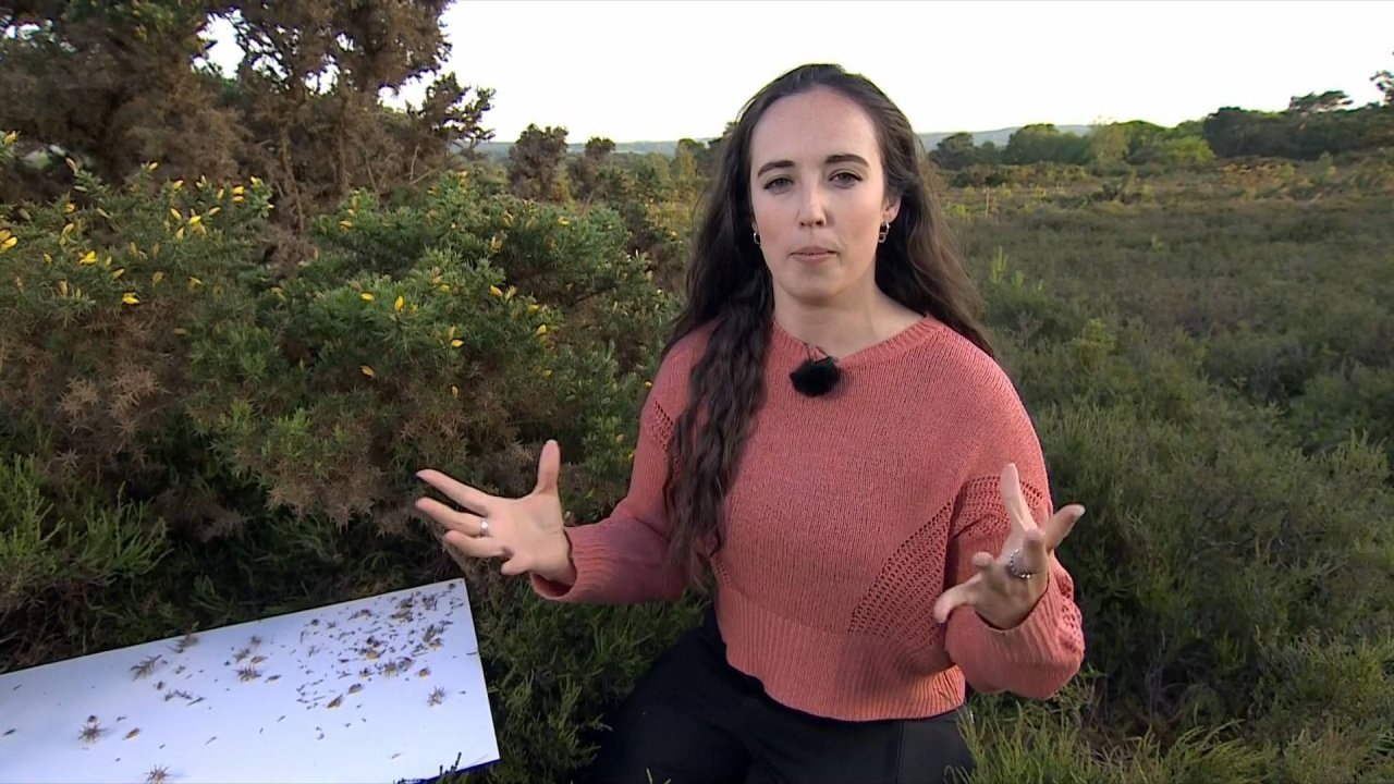 UKI-1445 P-1_0160 12692_V_12000_20230529_211050.jpg