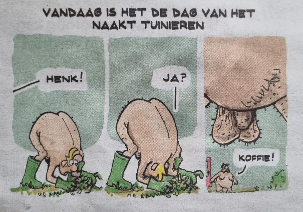 uit de krant.jpg