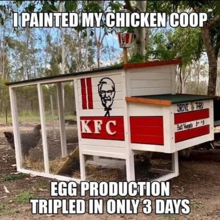 KFC.thumb.jpg.da6bc6ce032a3089103859264dda1352.jpg
