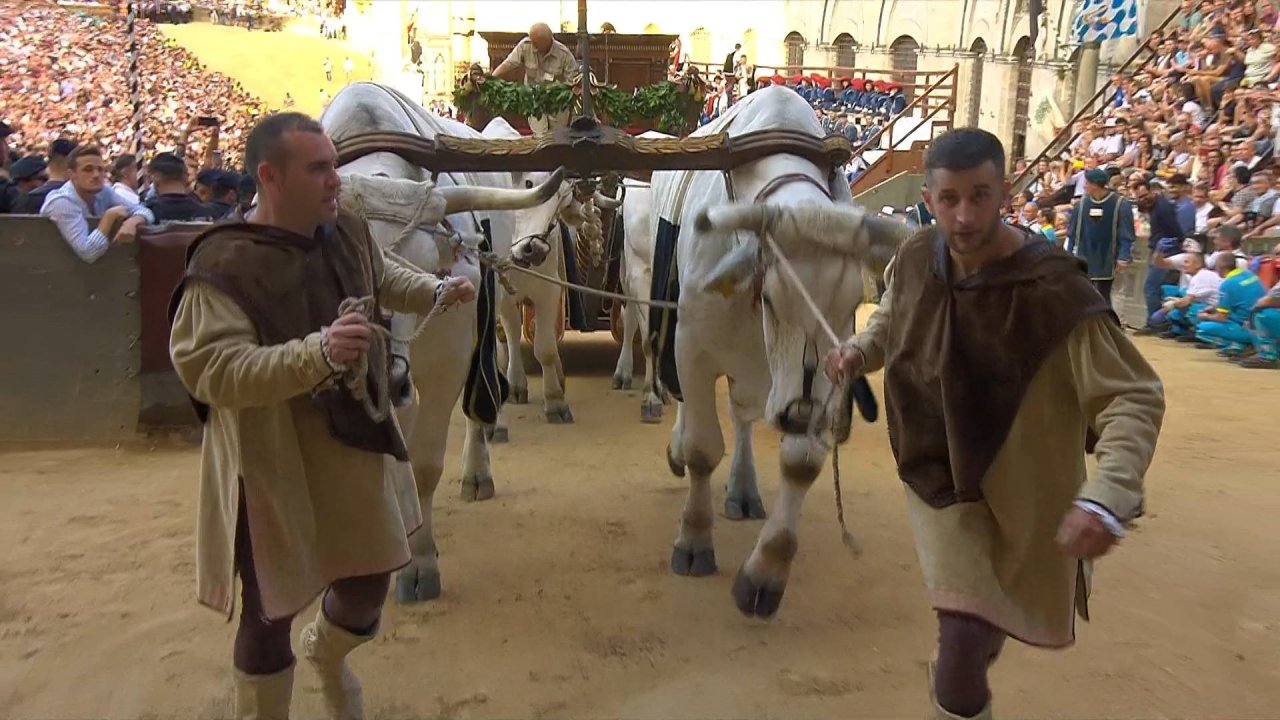 Siena_3520 12656_V_5000_20230702_192504.jpg