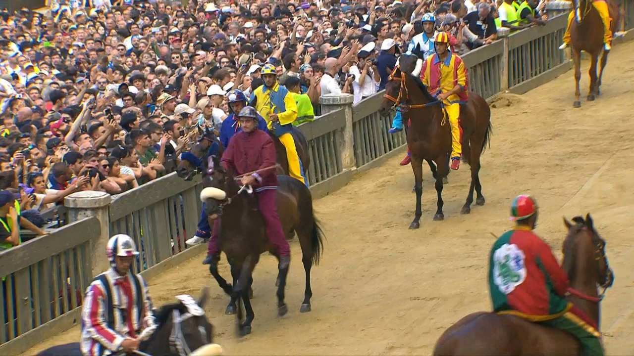 Siena_3520 12656_V_5000_20230702_193621.jpg