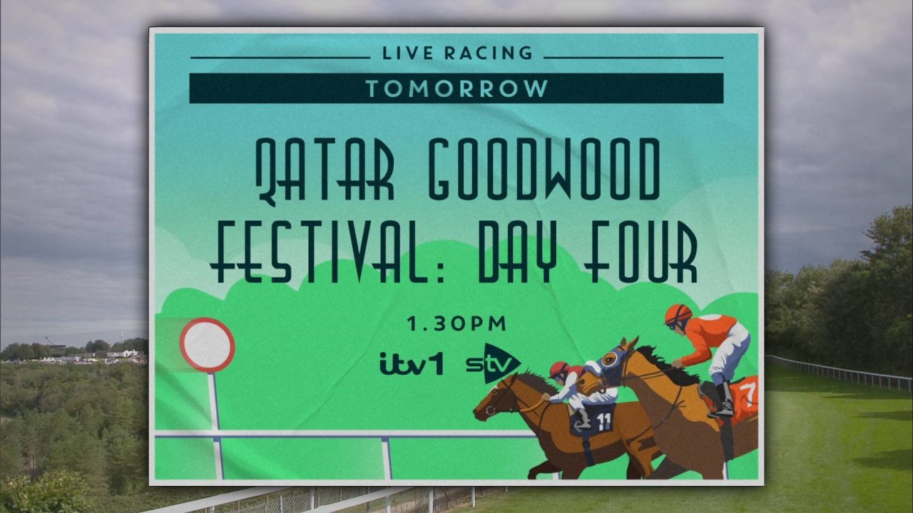 Nameless 11308_1_0100 11308_V_7200_20230803_165456.jpg