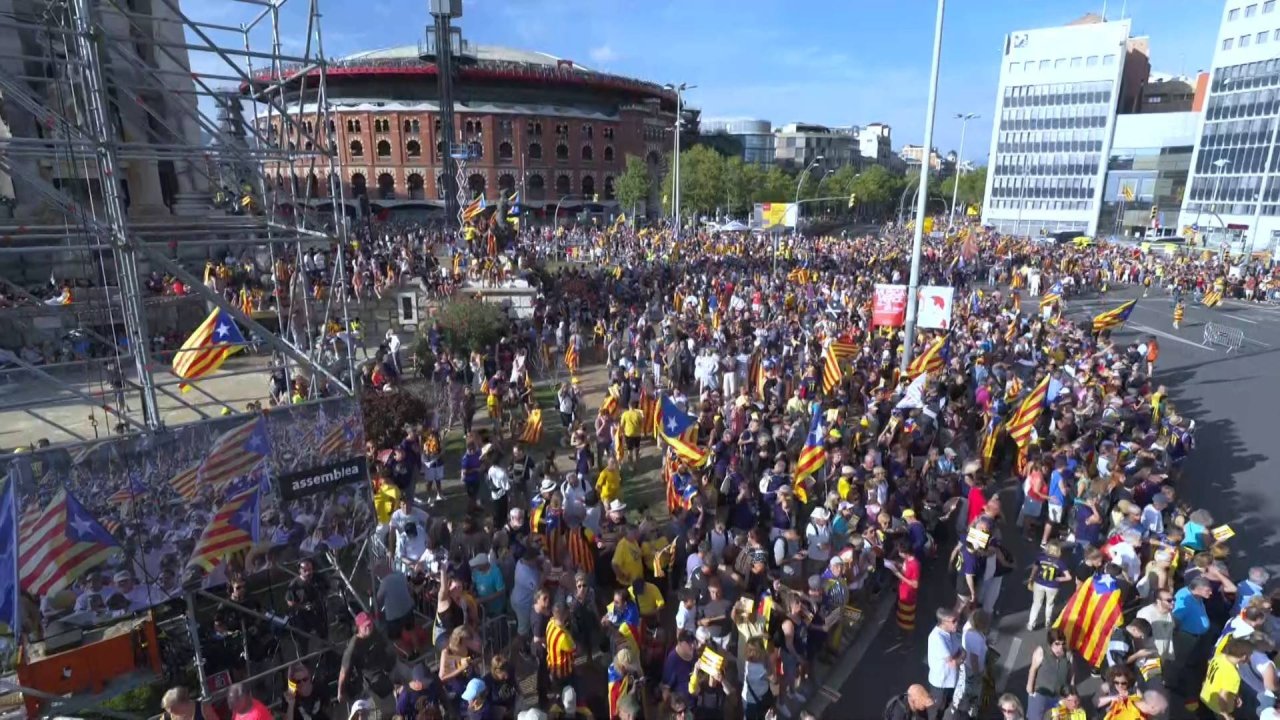 EDS807HD.2_0282 12638_V_5000_20230911_181022.jpg