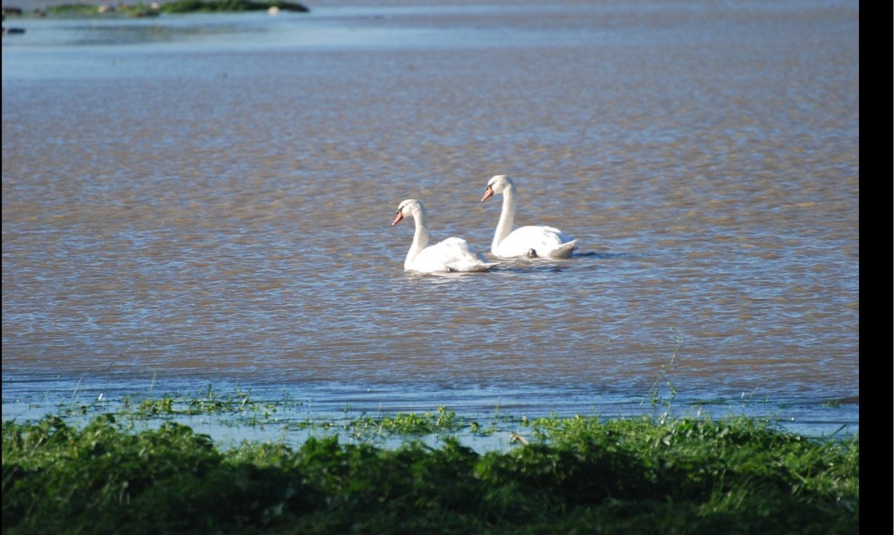 2023-11-12 19.40.23 www.facebook.com d555de838d7d.jpg